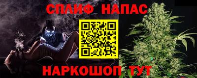 ешки Ставрополь
