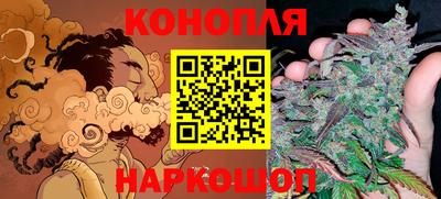 ешки Ставрополь