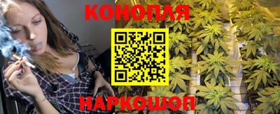 ешки Ставрополь