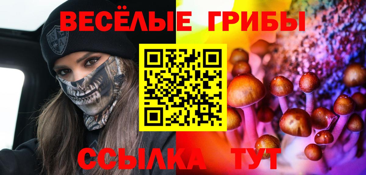 Псилоцибиновые грибы мухоморы  Псилоцибиновые грибы Psilocybe  Вход с VPN  Гусиноозёрск 